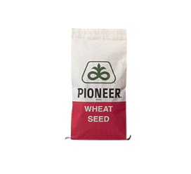 Pioneer Wheat